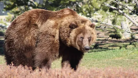 2021-2022意甲联赛第37轮精彩回顾